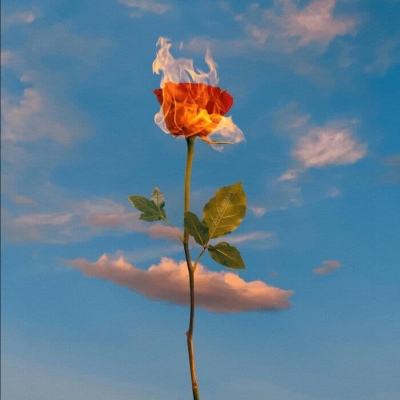 中欧体育·中国官方手机版